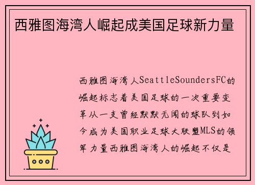 西雅图海湾人崛起成美国足球新力量